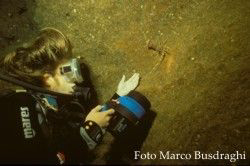 Elisabetta with lobster in the"Sea Bass Cave"
Alghero Sa... by Marco Busdraghi 